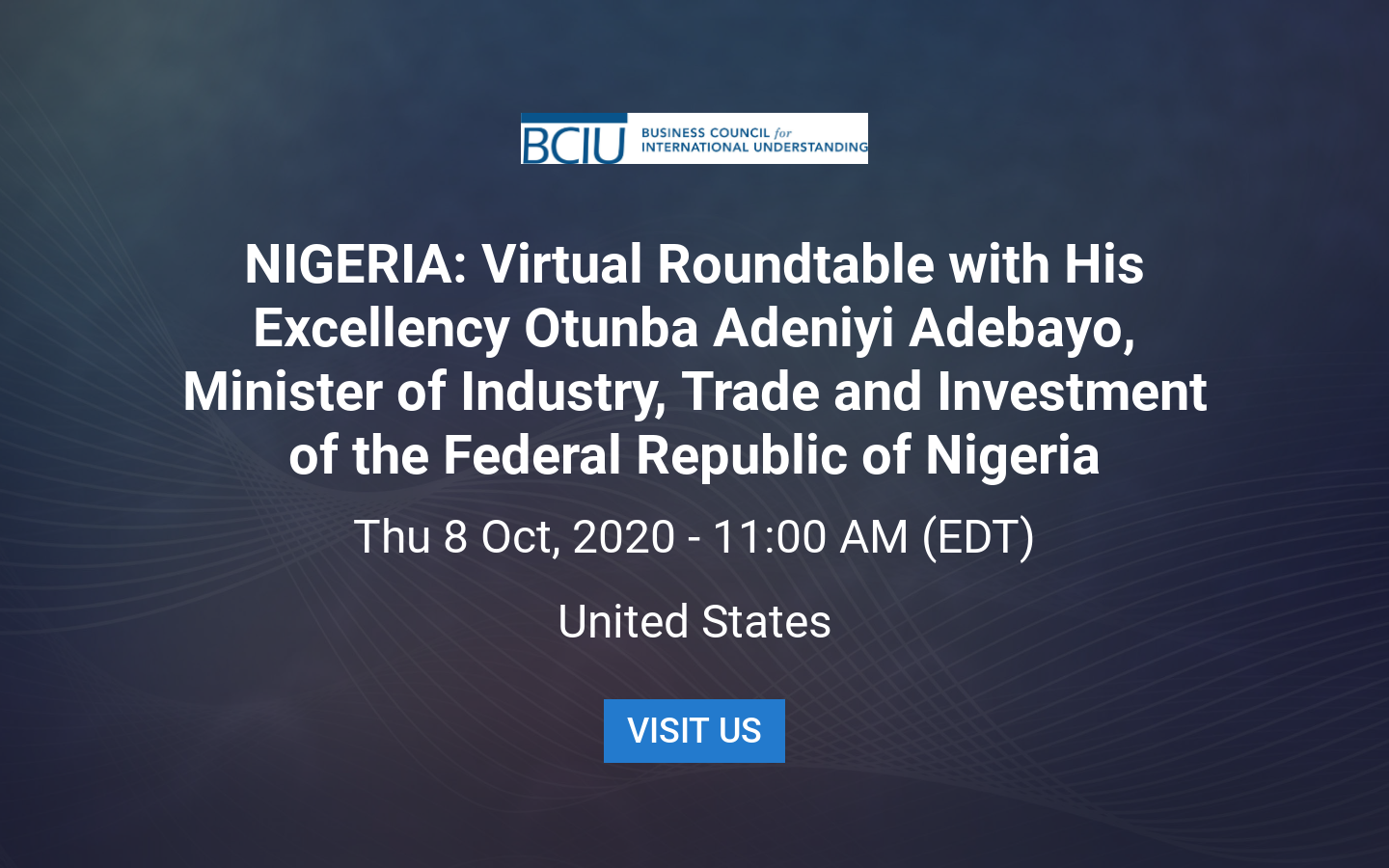 NIGERIA: Virtual Roundtable with His Excellency Otunba Adeniyi Adebayo ...